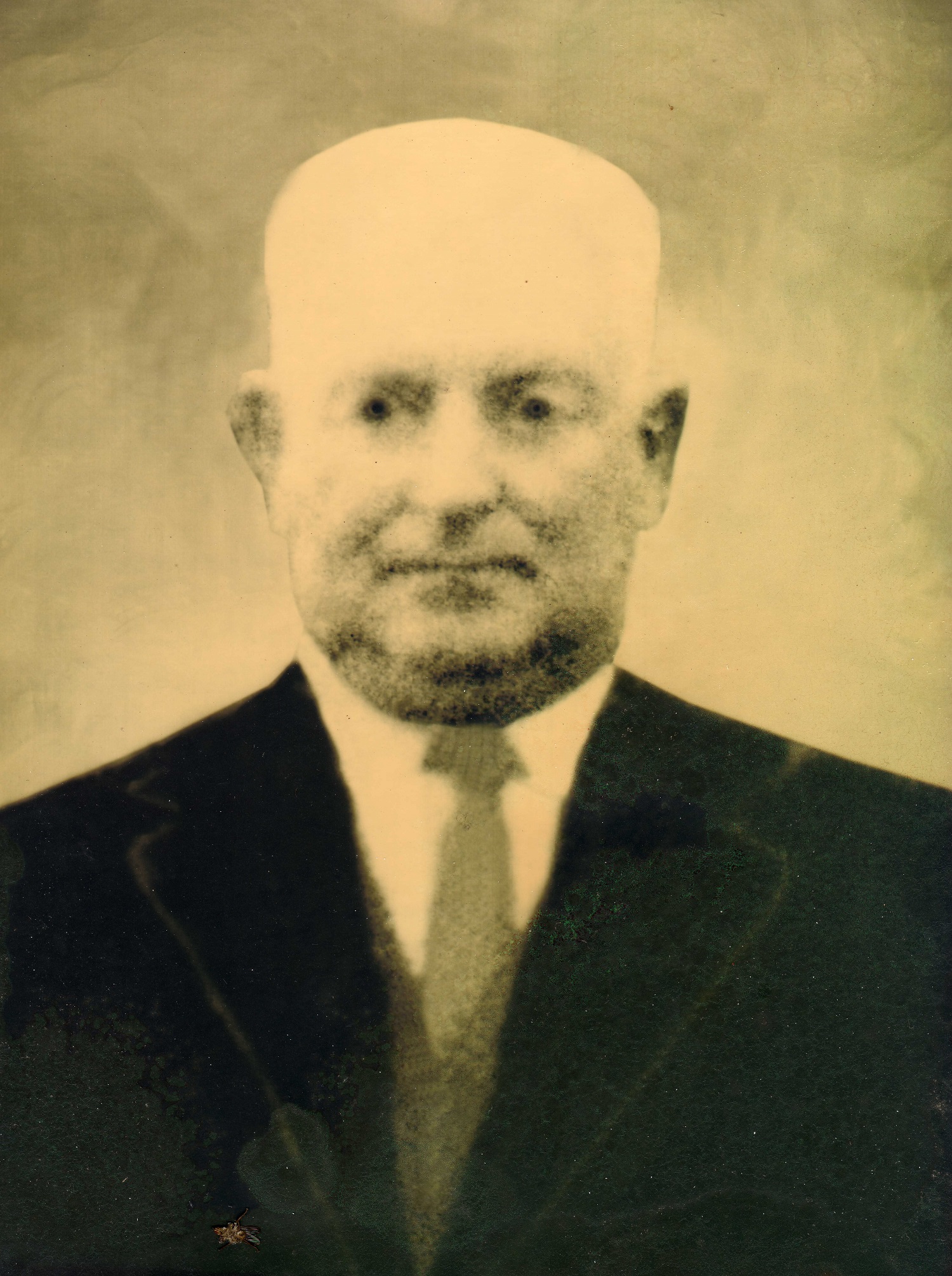 José Mendes de Freitas